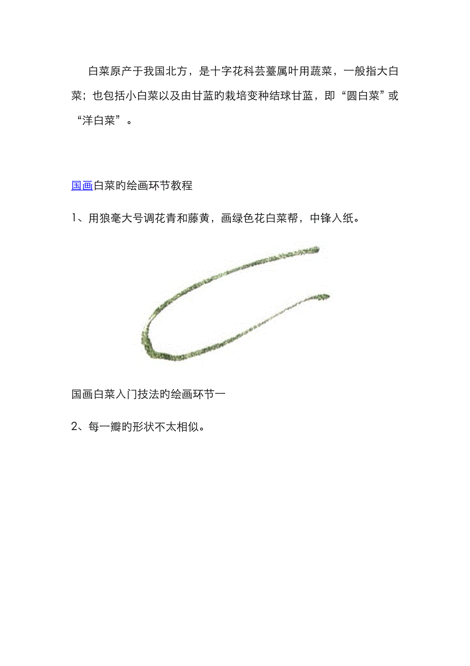 国画白菜的绘画步骤教程_第1页