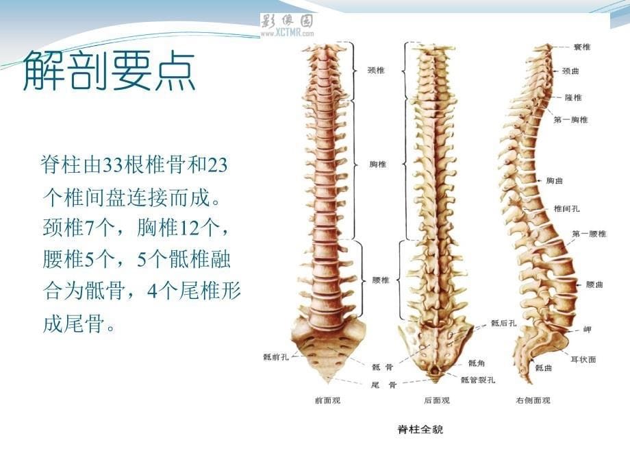 09脊髓损伤护理查房_第5页