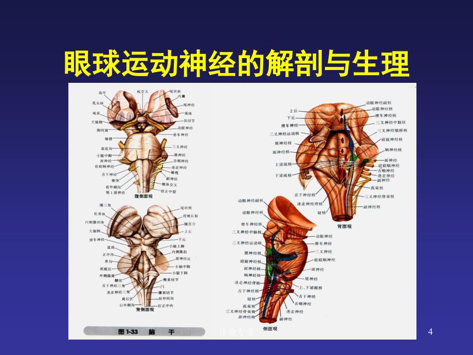 眼外肌麻痹的诊断思路行业严选_第4页