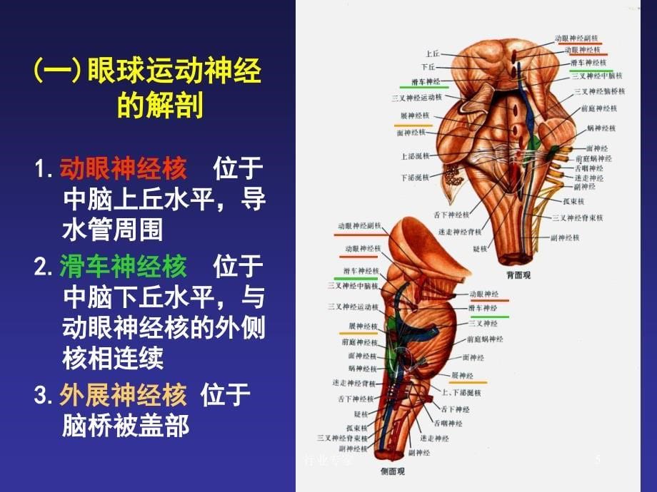 眼外肌麻痹的诊断思路行业严选_第5页