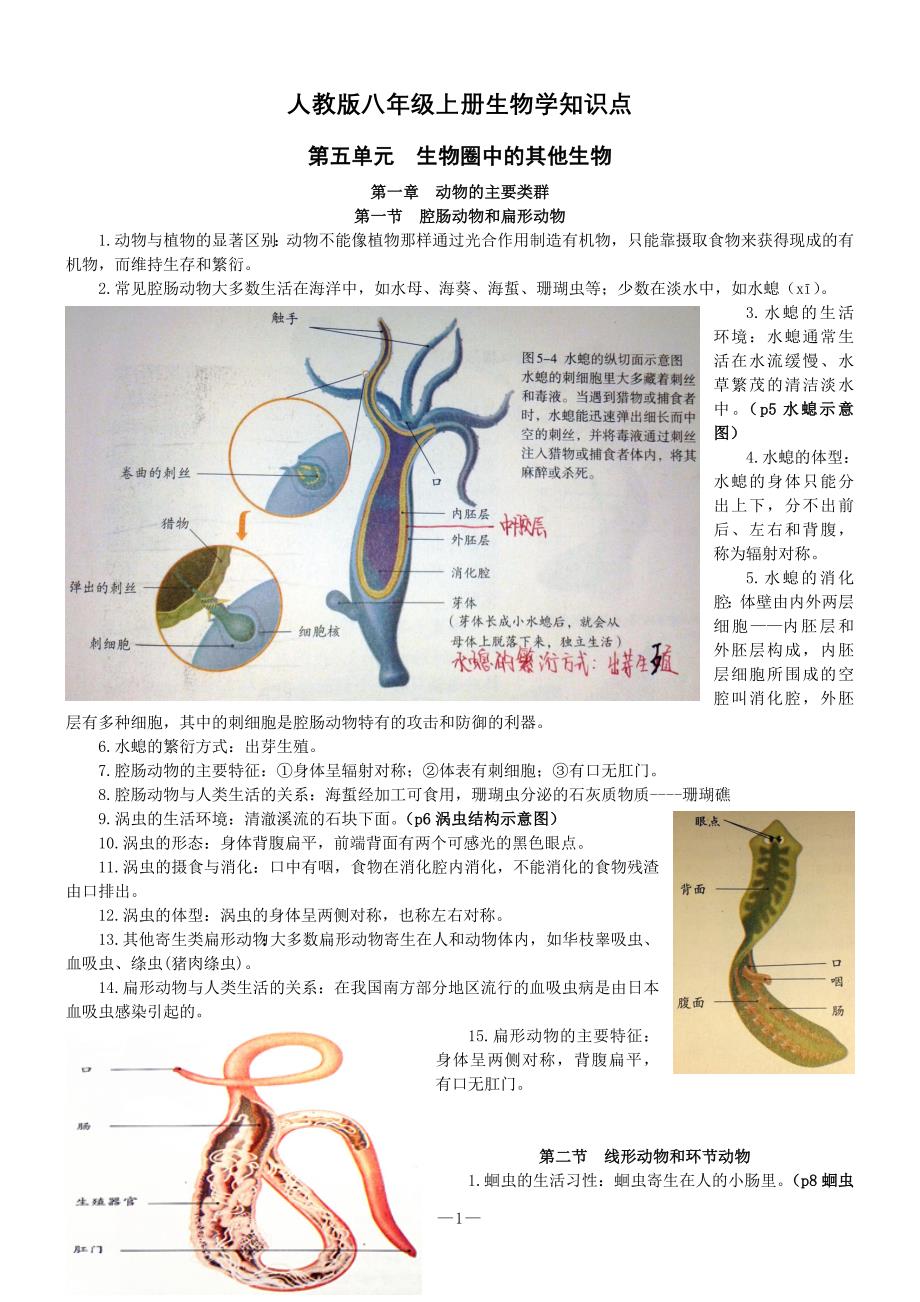 (完整版)人教版八年级上册生物学知识点资料.doc_第1页