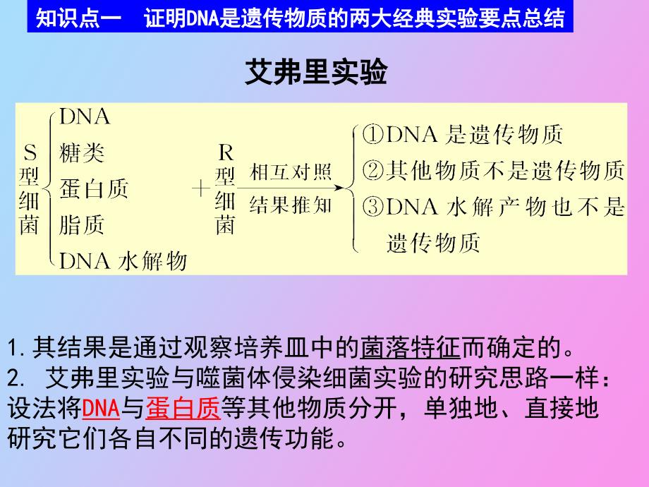 轮复习遗传与变异_第4页