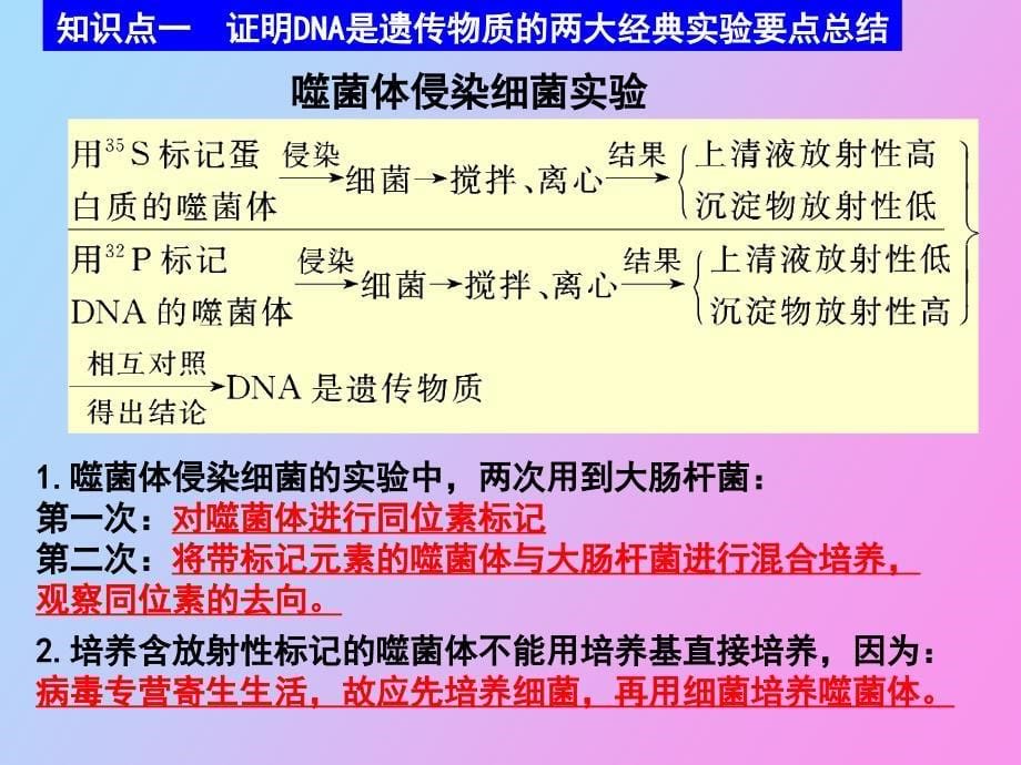 轮复习遗传与变异_第5页