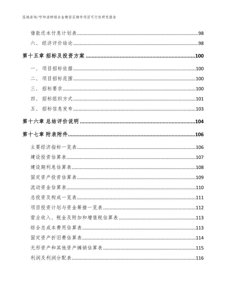 呼和浩特铝合金精密压铸件项目可行性研究报告模板范本_第5页