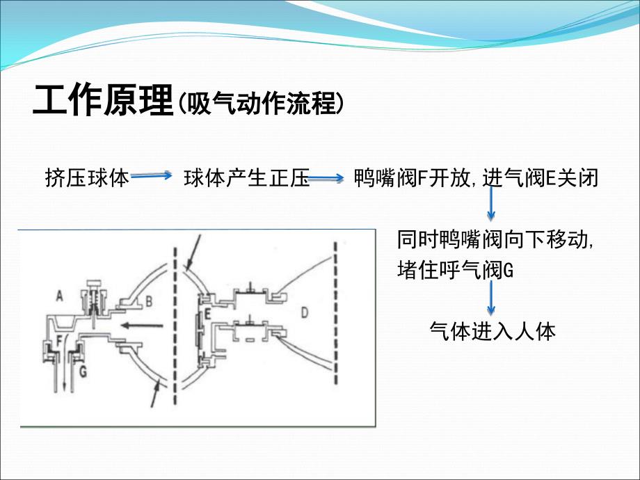 简易呼吸器课件_第5页