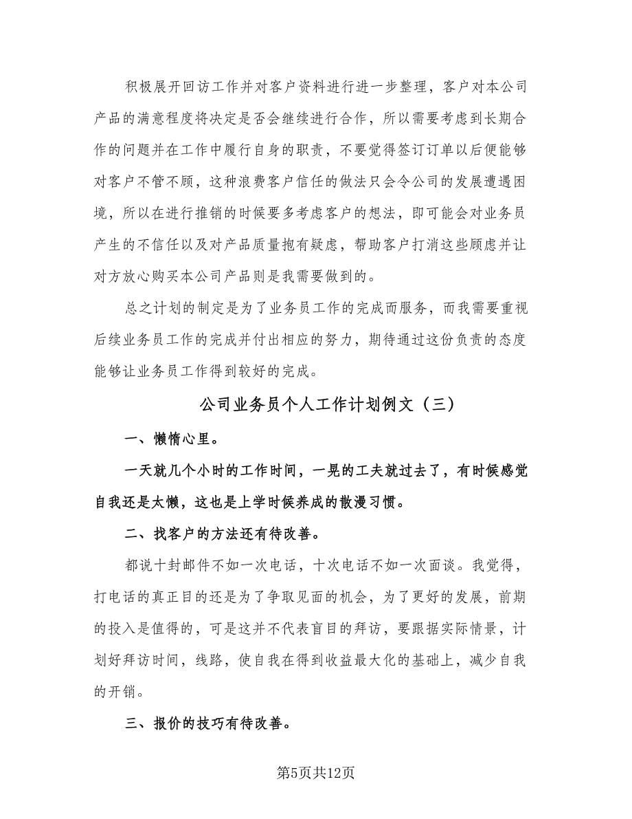 公司业务员个人工作计划例文（五篇）.doc_第5页