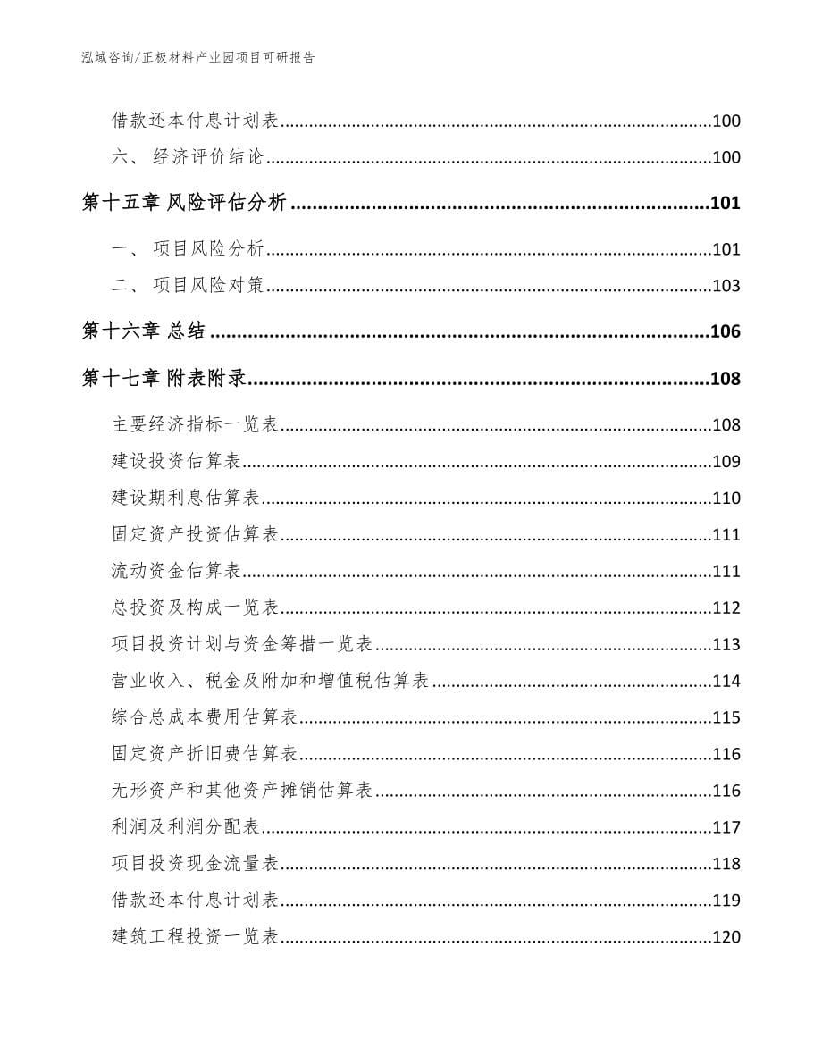 正极材料产业园项目可研报告_第5页