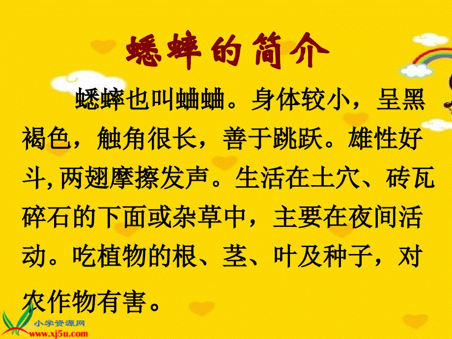 人教新课标四年级语文上册蟋蟀的住宅课件_第4页