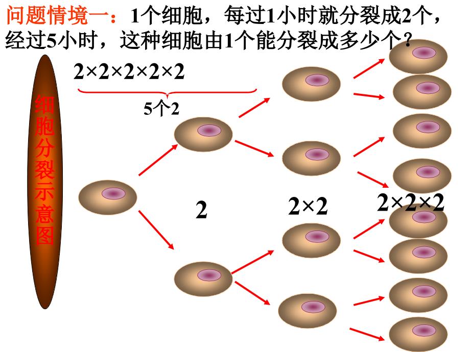 33有理数的乘方_第2页