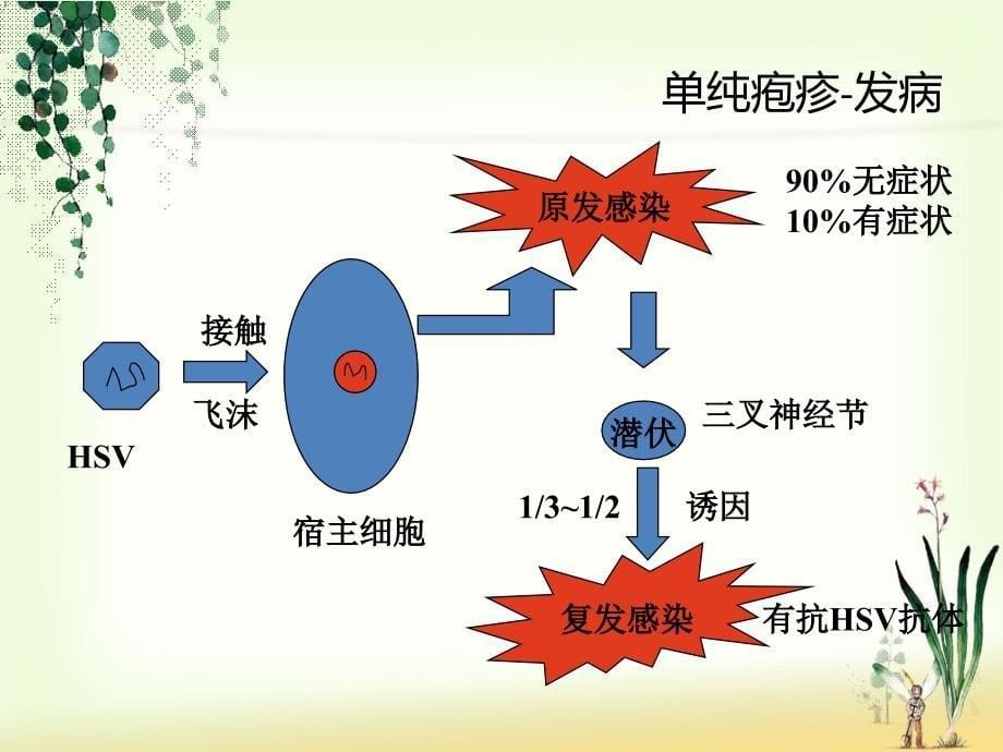 口腔黏膜常见疾病_第5页