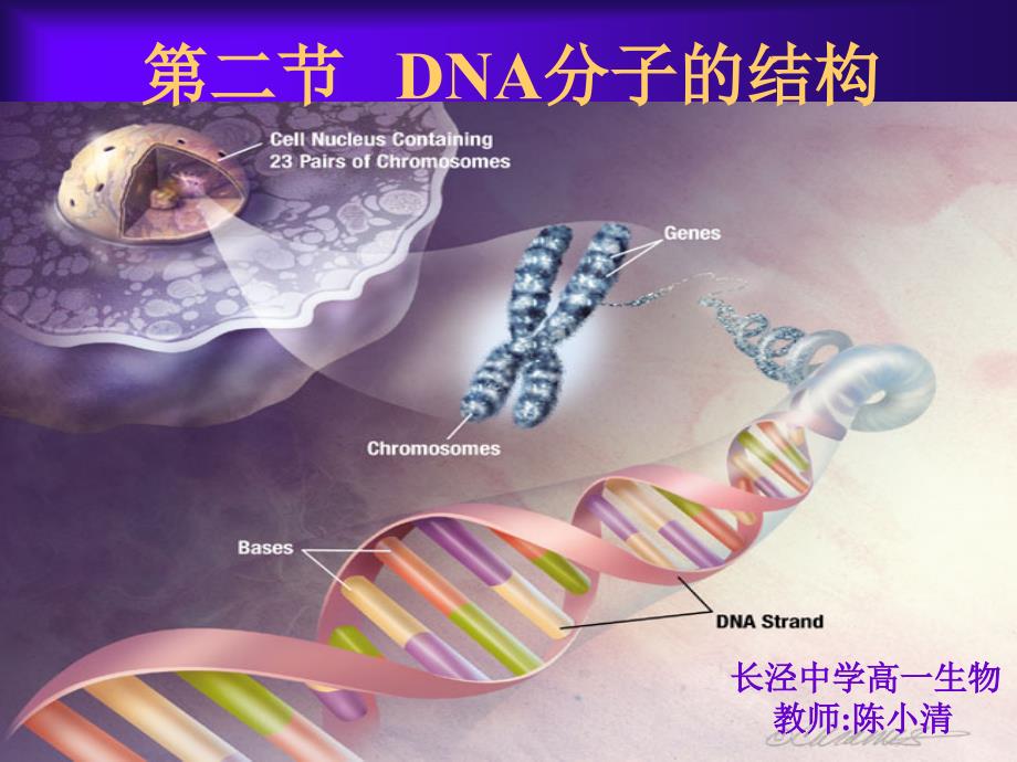 819第二节 DNA分子的结构_第1页