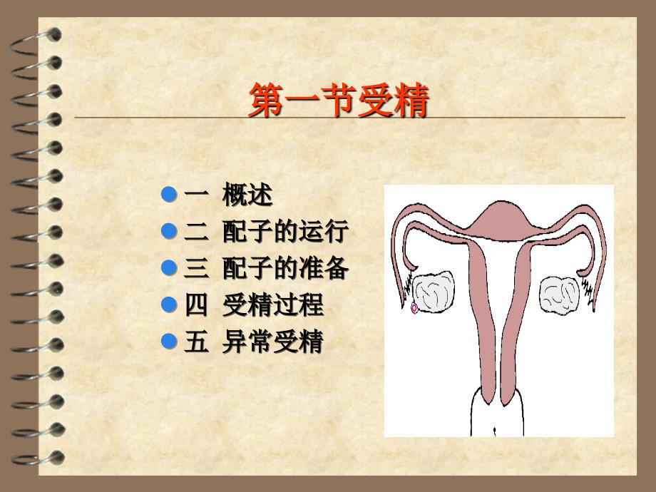 兽医产科学之娩与助产ppt课件_第3页