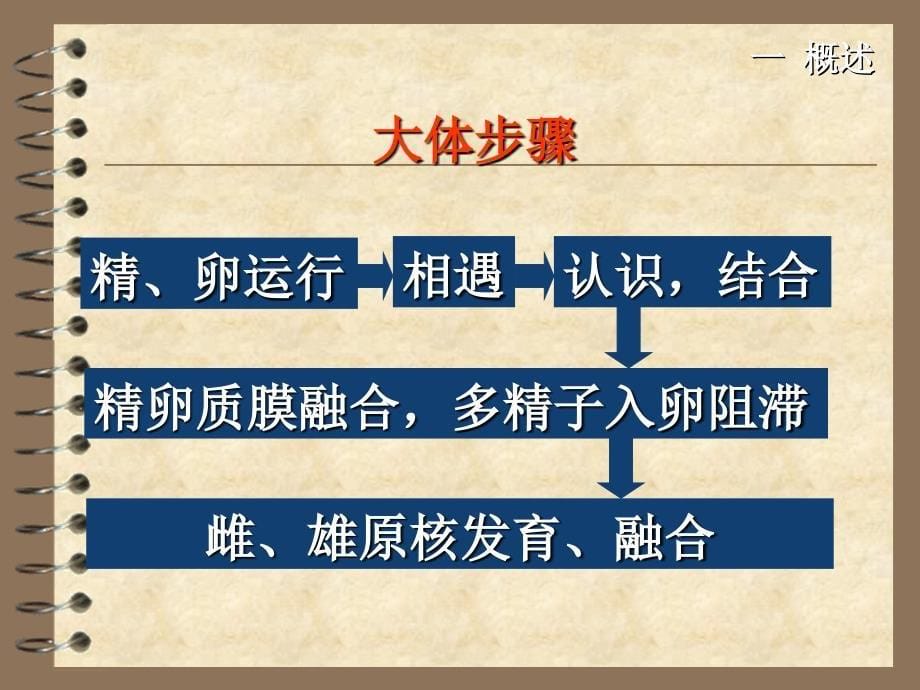 兽医产科学之娩与助产ppt课件_第5页