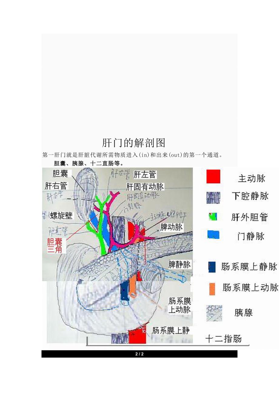 肝脏的功能37452.doc_第3页