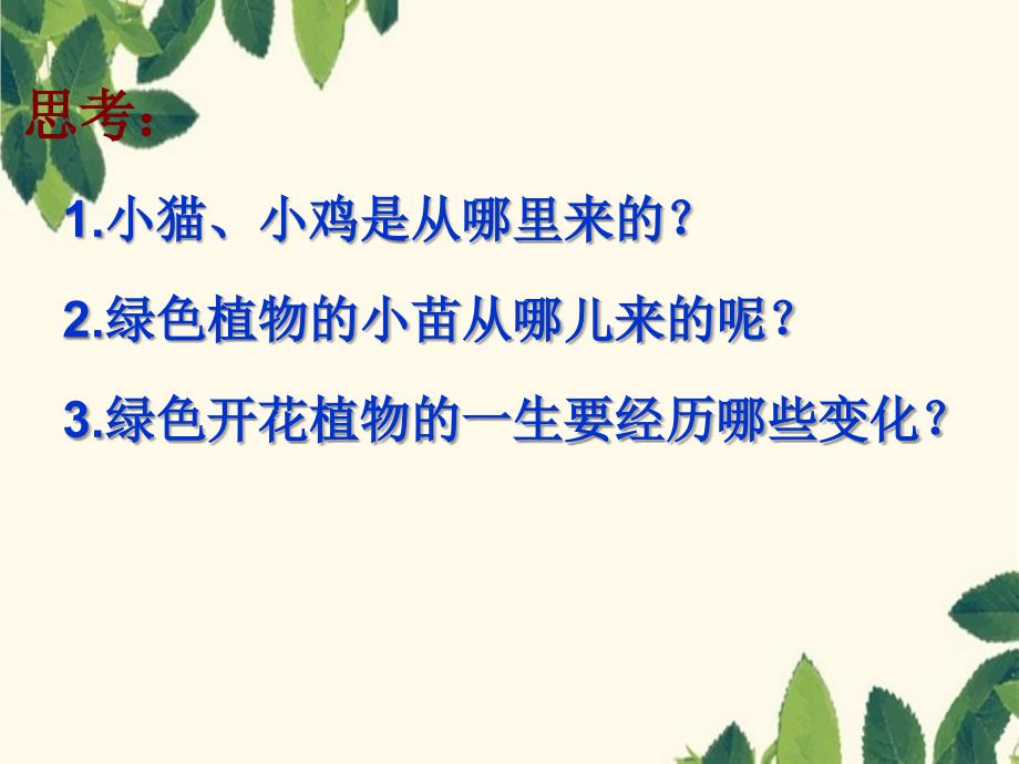 三年级科学下册植物的生长变化1植物新生命的开始课件教科版教科版小学三年级下册自然科学课件_第2页