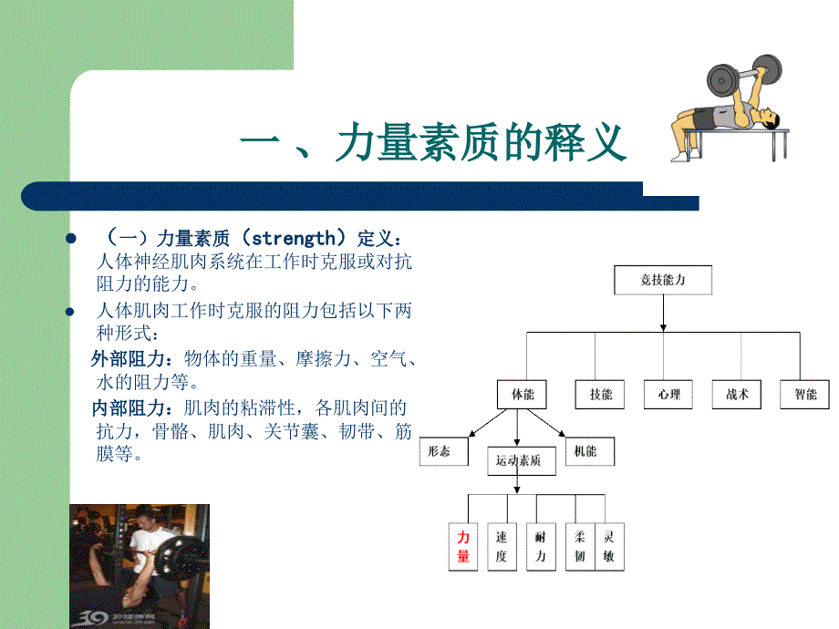 力量素质及其训练_第3页