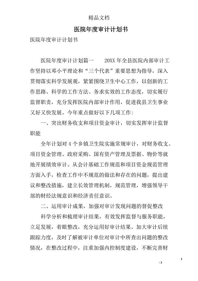 医院年度审计计划书