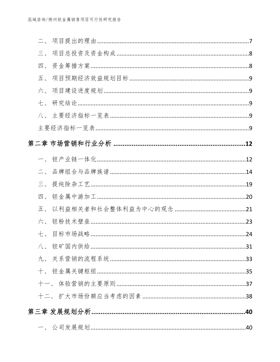 朔州钽金属销售项目可行性研究报告【范文】_第3页