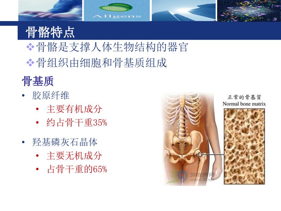 奥精骼金产品仿生骨介绍_第4页