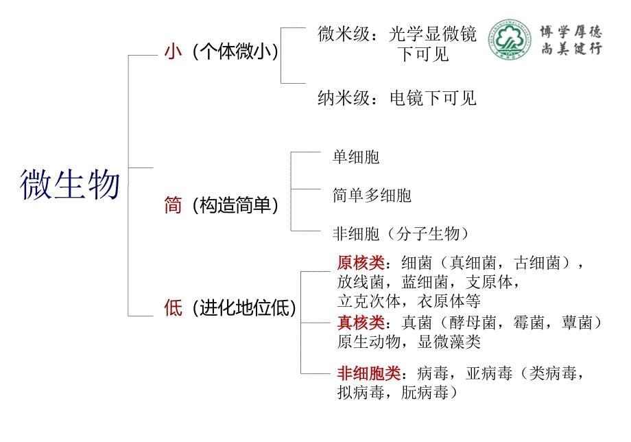 ChemistryandLifeScienceCollege_第5页