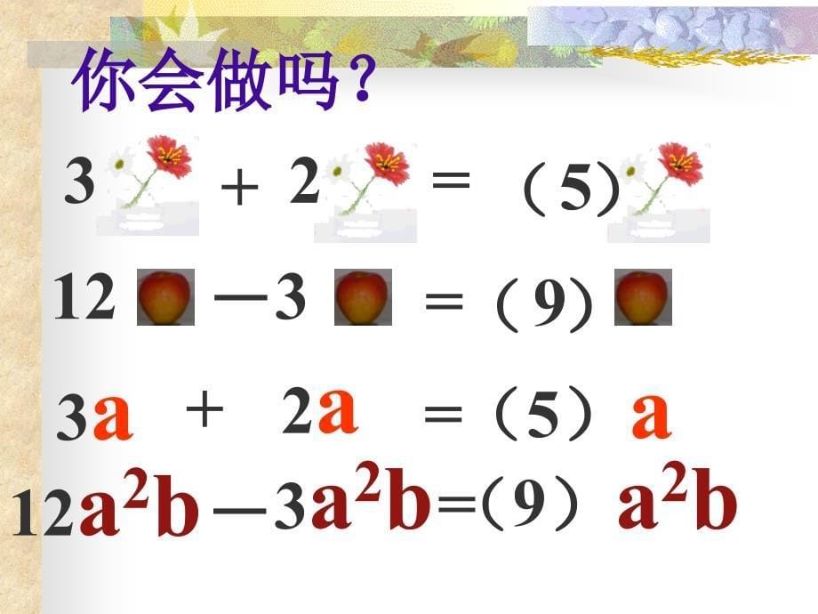 合并同类项【第二课时】_第5页