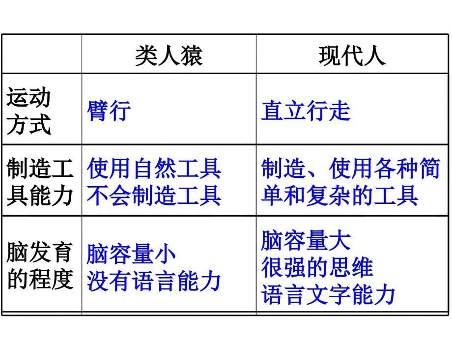 森林古猿ppt课件_第5页