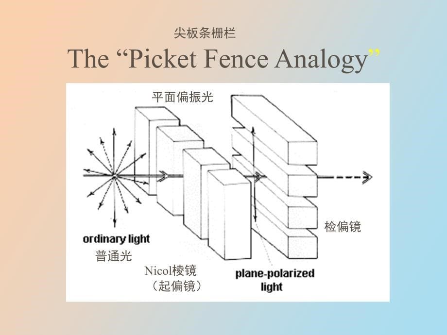 汪小兰有机课件第四版对映异构_第5页