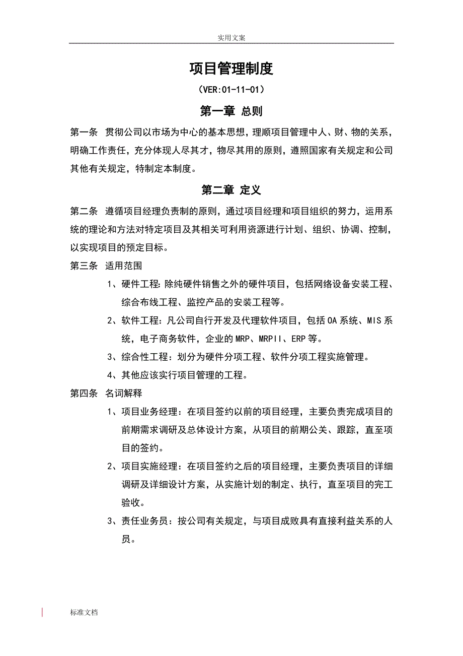 公司管理系统项目管理系统规章制度(DOC格式)_第1页