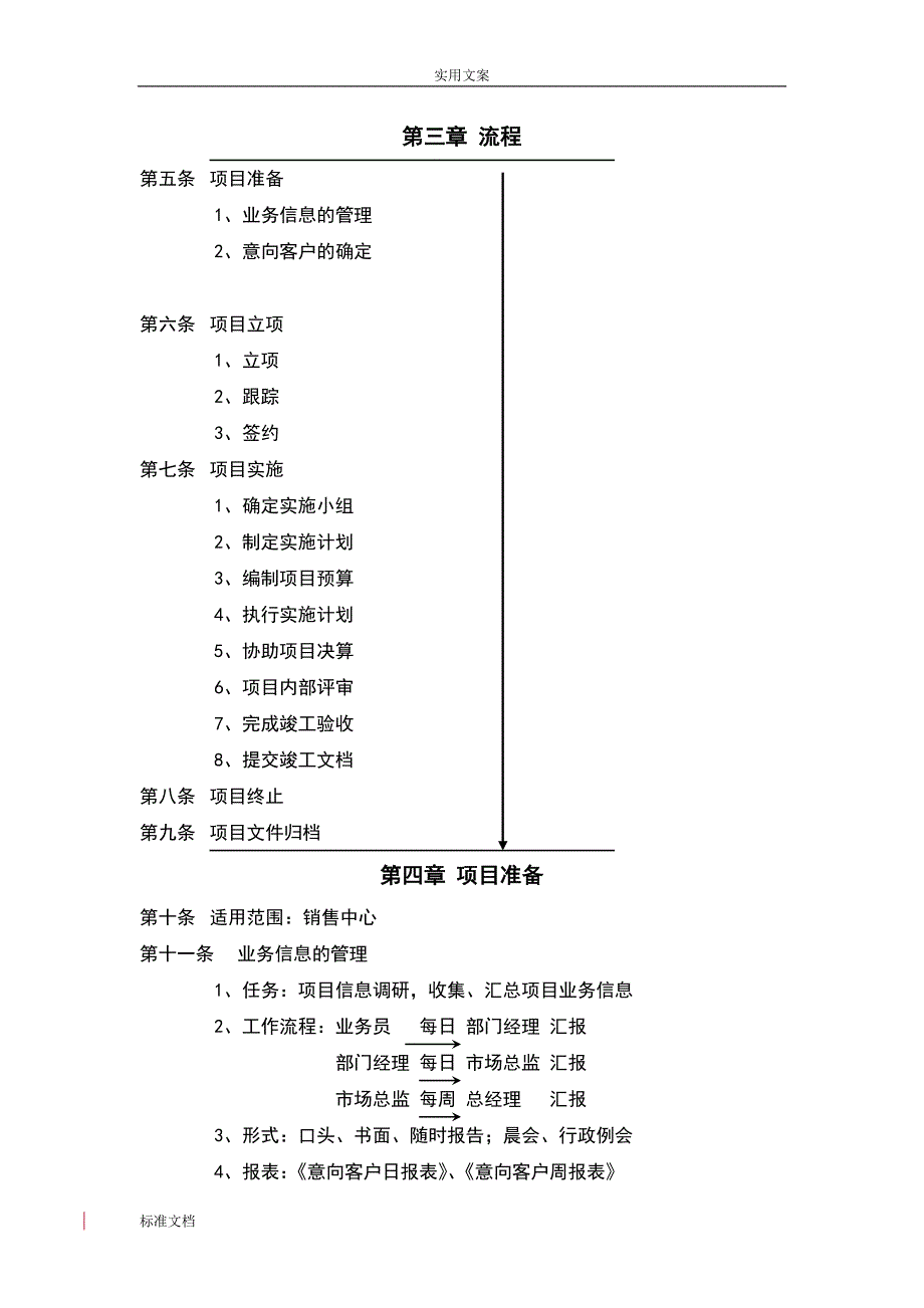 公司管理系统项目管理系统规章制度(DOC格式)_第2页