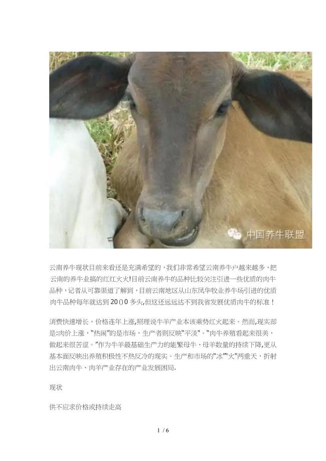 2015年云南养牛现状调查