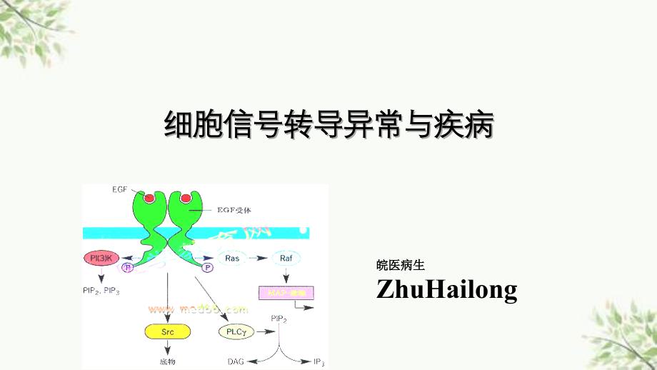 细胞信号转导异常与疾病3ppt课件_第1页