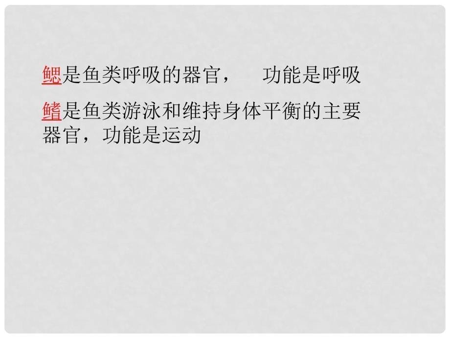 浙江省绍兴市诸暨市店口镇七年级科学上册 第2章 观察生物 2.4 常见的动物课件3 （新版）浙教版_第5页