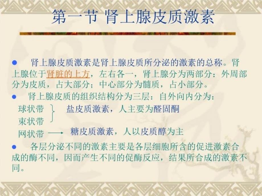 最新实用药物商品知识第十九章激素及影响内分泌药PPT课件_第3页