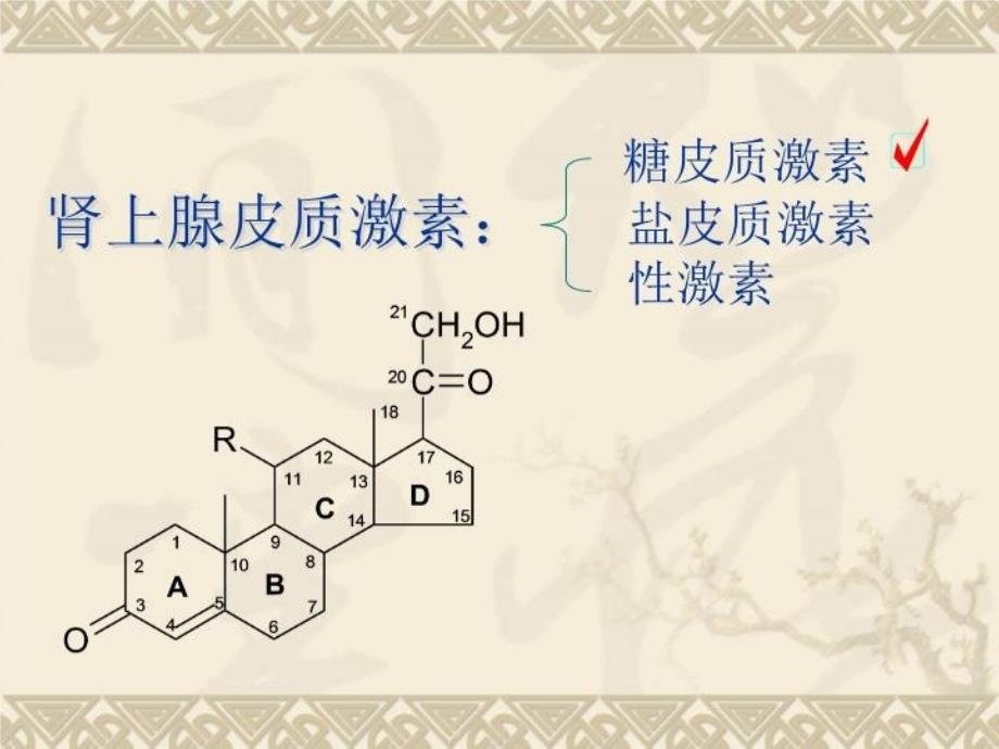 最新实用药物商品知识第十九章激素及影响内分泌药PPT课件_第4页