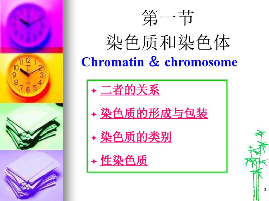 医学遗传学课件：第4章-染色体_第3页