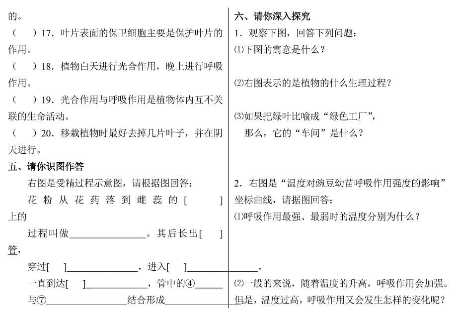 人教版七年级上期末.doc_第5页