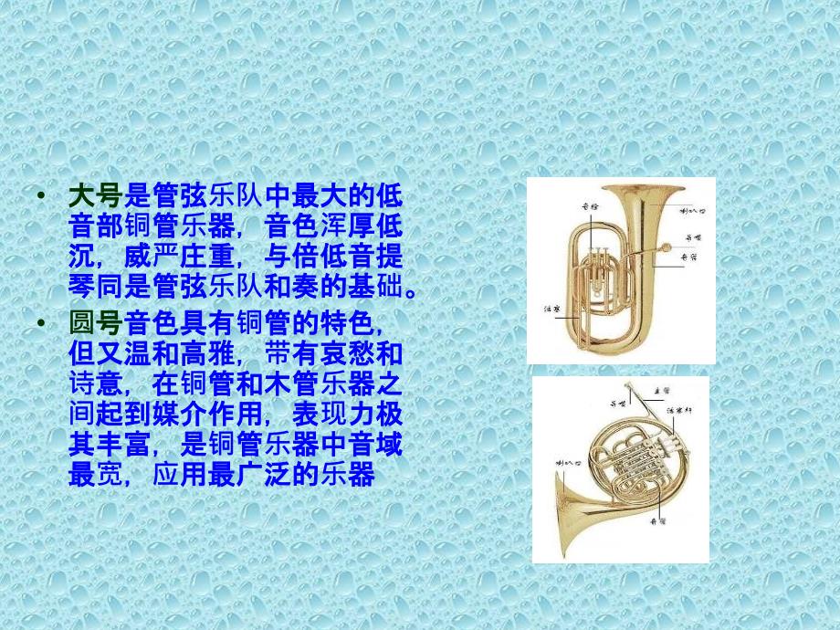 精品二年级下册音乐课件第一单元杜鹃圆舞曲3苏少版可编辑_第2页