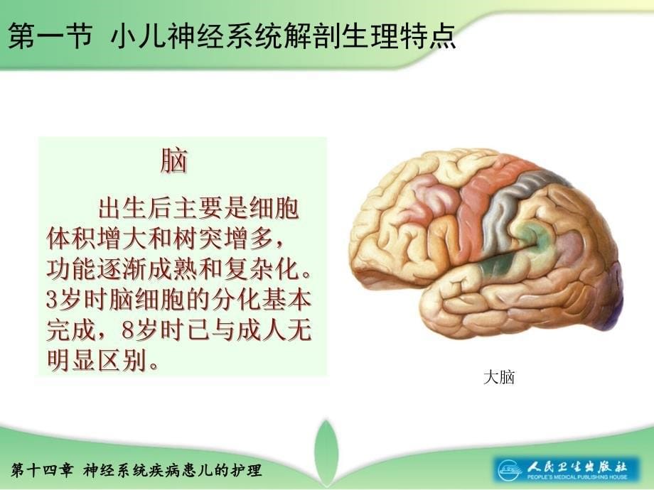 神经系统疾病患儿的护理ppt课件_第5页