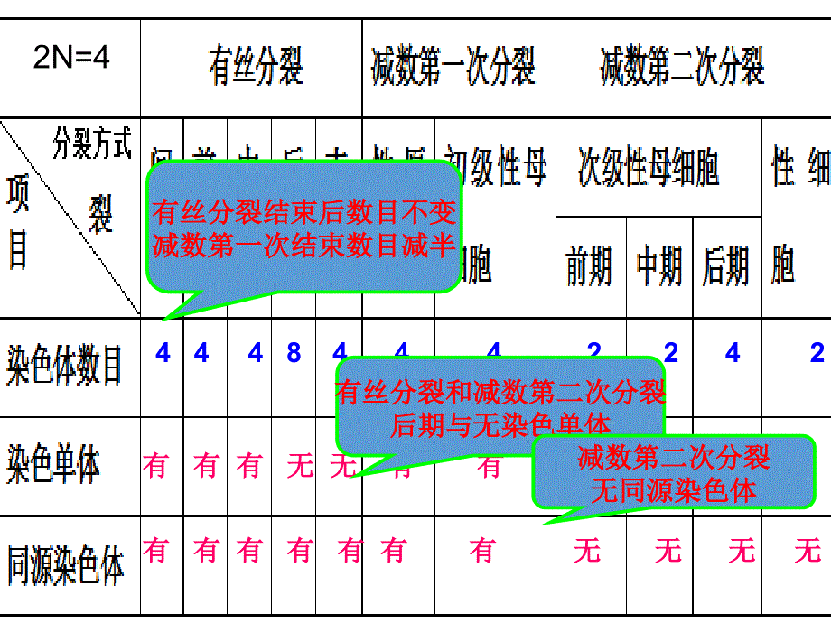 有丝分裂与减数分裂过程中染色体行为变化_第5页