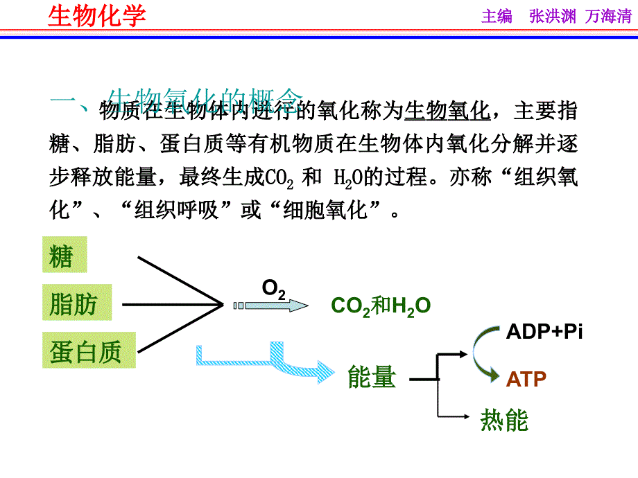 第八章能量代谢与生物能的利用_第4页