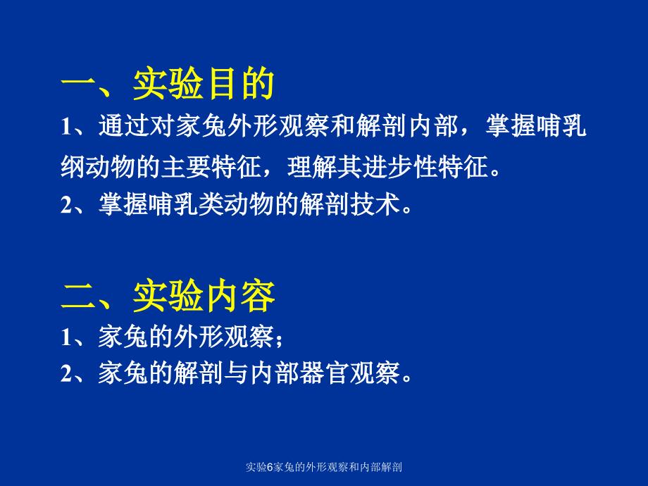 实验6家兔的外形观察和内部解剖课件_第2页