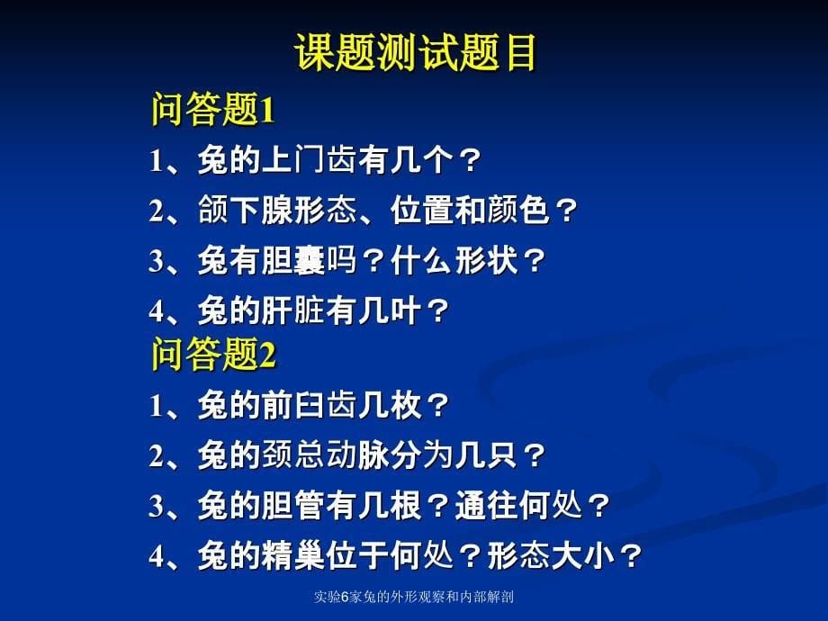 实验6家兔的外形观察和内部解剖课件_第5页