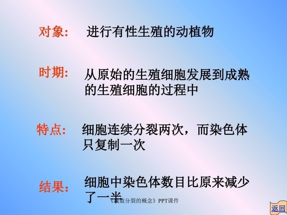 减数分裂的概念课件_第5页