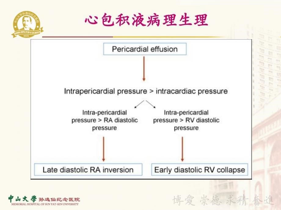 内科学教学课件：心包疾病_第5页