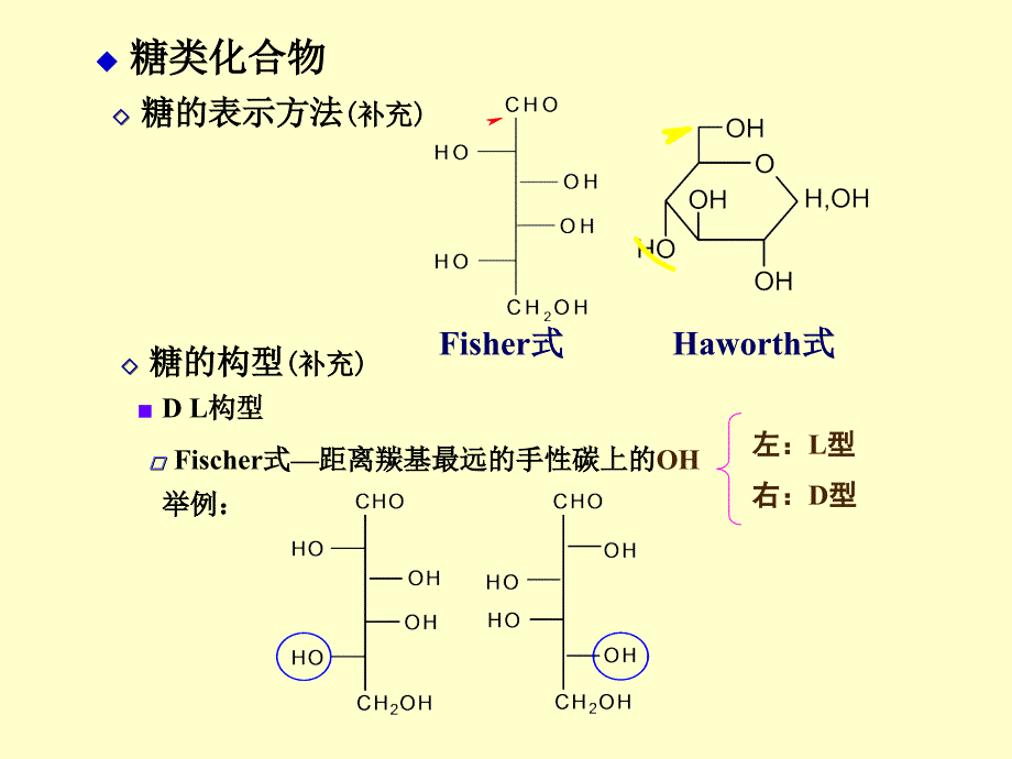 苷类的结构与分类_第4页