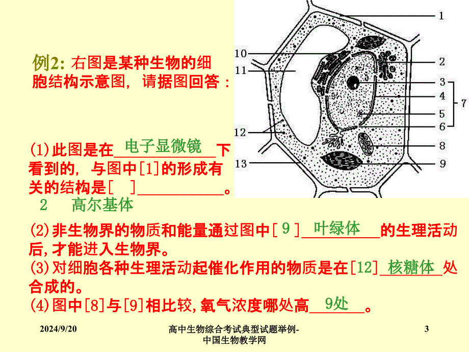 高中生物综合考试典型试题举例中国生物教学网课件_第3页