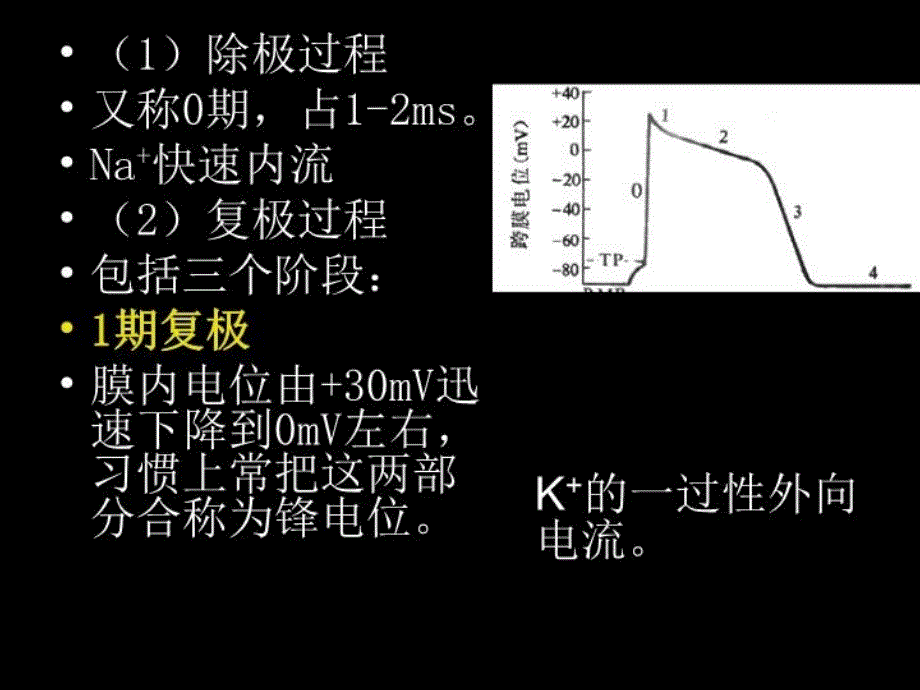 最新心肌细胞的生物电现象PPT课件_第4页