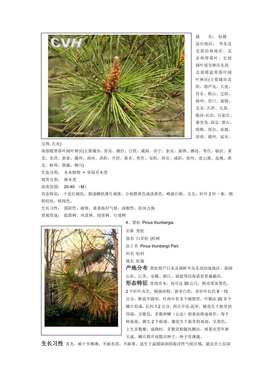 福建地区常见园林树木种类.doc_第2页