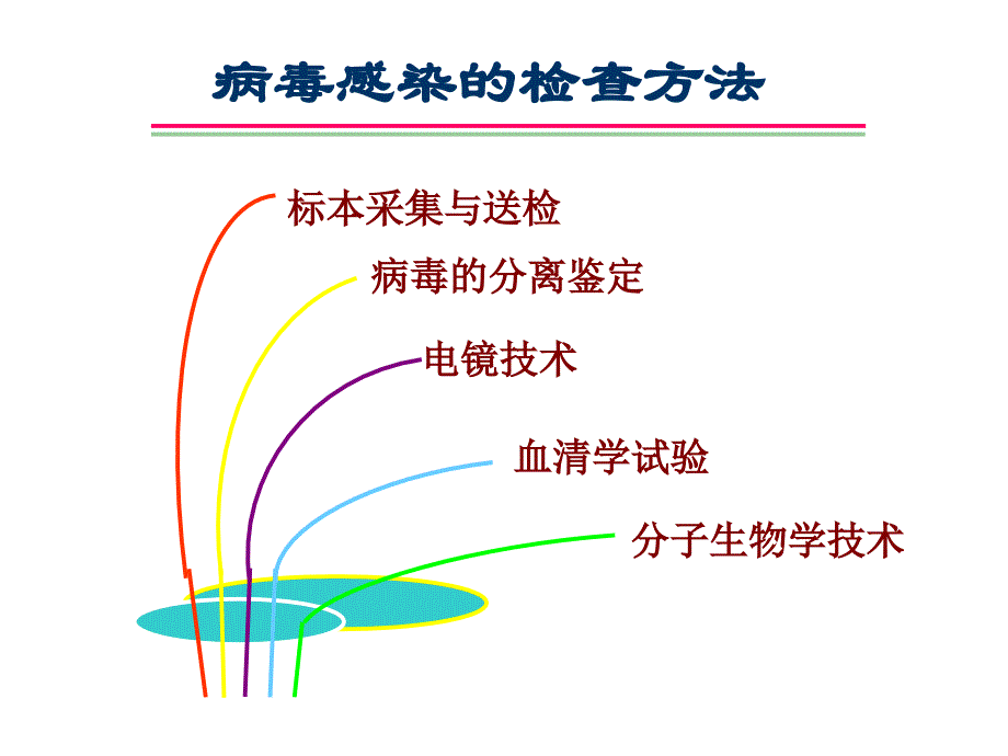 第二十六章病毒的检测_第1页