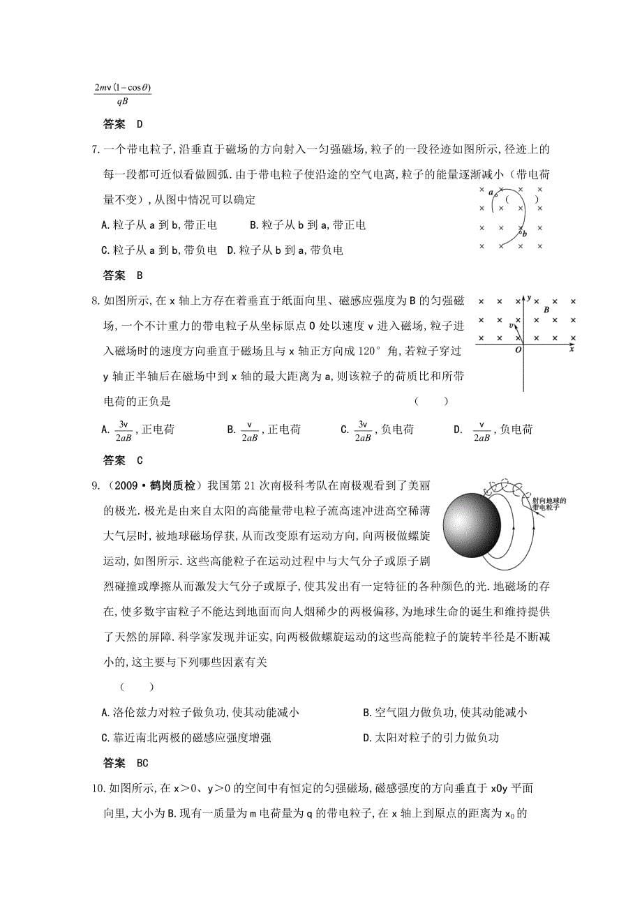 2010高考物理精品讲练系列学案：带电粒子在磁场中运动问题特例.doc_第5页